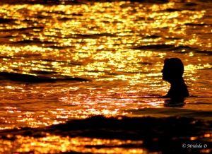 Golden-Sunset-Goa